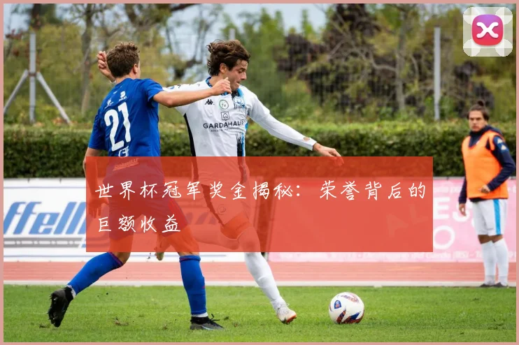 世界杯冠军奖金揭秘：荣誉背后的巨额收益