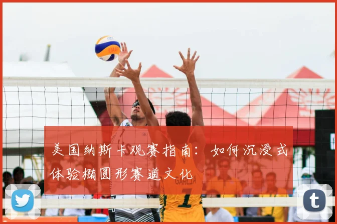 美国纳斯卡观赛指南:如何沉浸式体验椭圆形赛道文化