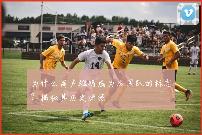 为什么高卢雄鸡成为法国队的标志？揭秘其历史渊源