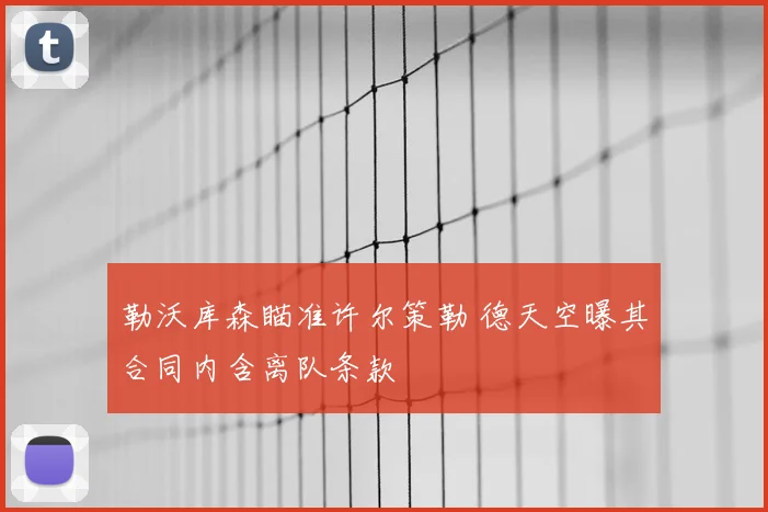 勒沃库森瞄准许尔策勒 德天空曝其合同内含离队条款